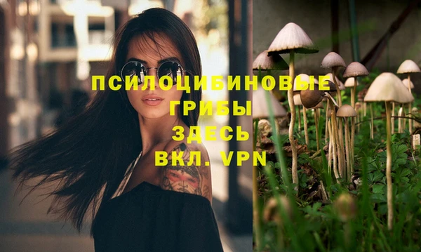 стафф Мегион