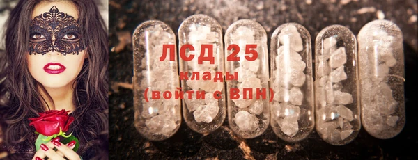 СК Медногорск